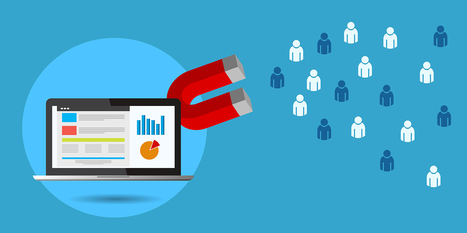 Search Engine Optimisation - Bee Spotted