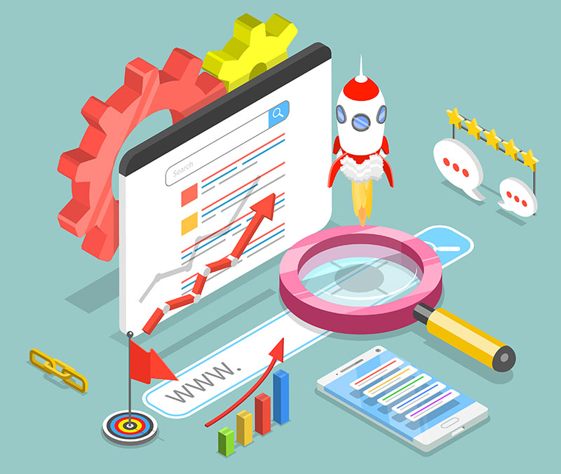 Search Engine Optimisation - Bee Spotted